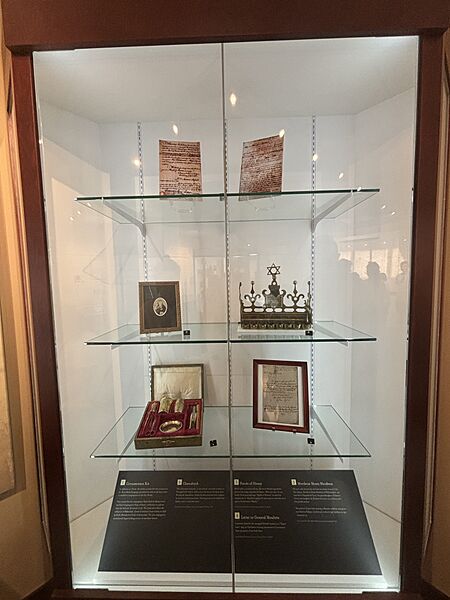 Savannahjudaica