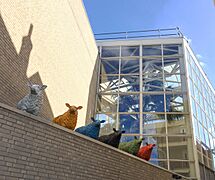 Schapen in de Hoefijzerstraat in Dordrecht