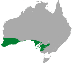 Southwestern Pygmy Possum area.png