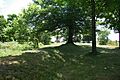 Southwoldvillage