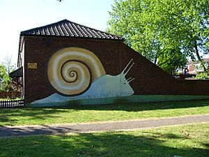 St Anns Snail