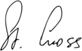 Stanislav Gross signature