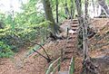Steps in the Grundle - geograph.org.uk - 1019169 cropped