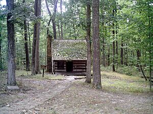 TC Steele Site 002 (1322071992)