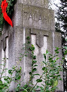 Talahi-pillar-detail-tn1