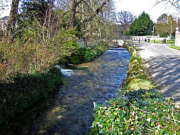 The River Wey at Upwey - geograph.org.uk - 374503.jpg