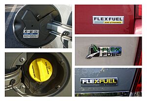 Three US E85 flex fuel badges Ford GM Chrysler copy
