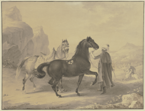 Turkish horses (SM 1557z)