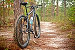 A bike along a trail in Tuskegee National Forest.