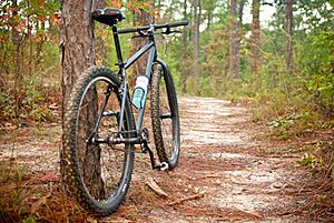 Tuskegee NF Trail