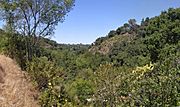 View from Rhus Ridge Trail
