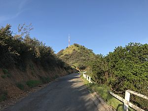 View of Mt Lee Summit From Mt Lee Drive