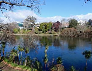 Waikato River in Hamilton Central from Parana Park