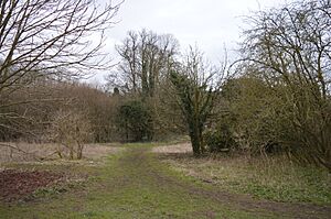 Warren Nature Reserve 2