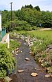 Watering Run looking upstream