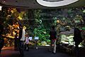 Wild Reef at Shedd Aquarium 3, 2009-11-15