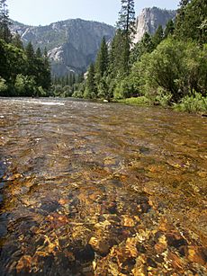 Yosemite from Merced River