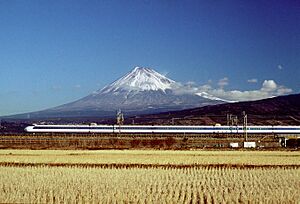 0 fuji