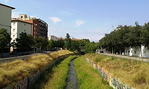 25 07 2015 RIU GÜELL SANTA EUGENIA GIRONA