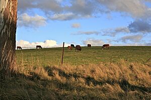 A Day on the Farm (4748698334)