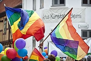 Aarhus Pride, 2012, flags