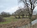Aldwincle Marsh 4