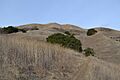 Alum Rock Park 2