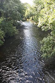 Annacloy River, September 2010 (02)
