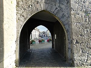Archway through King John's Castle, Kilmallock, Co. Limerick