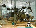 Armley Hippo 30 July 2021 (1)