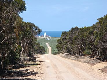 Australia kangaroo island cape willoughby.jpg