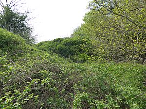 Aylesford Pit 4
