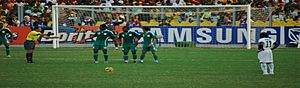 Black Stars (Ghana national football team) versus Super Eagles (Nigeria national football team)