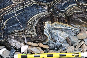 Blue folded metacherts with glaucophane-rich (ashy?) layers
