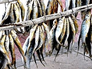 Bokkoms - whole, salted and dried mullet.jpg