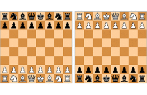 Bughouse game animation