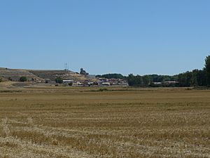 Cabañes de Esgueva view, 2011
