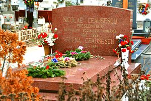 Ceaușescu Grave