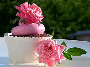 Chocolate cupcakes with rose water meringue buttercream (4796557393)