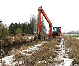 Clearing the stream bank (1) - geograph.org.uk - 1659141