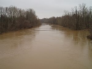 Coldwater River Marks Mississippi