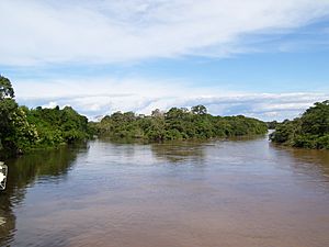 Confluence of the rivers Bugres and Paraguai