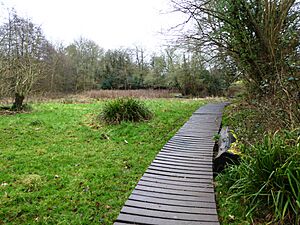 Crane Valley 1
