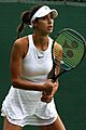 Danilovic WMQ23 (53061130692)