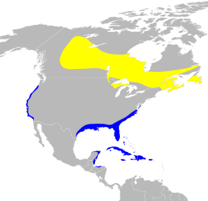 Dendroica palmarum map.svg