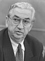 Dragan Tomić (cropped)