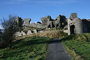 Dunamase4279