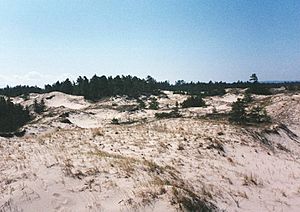 Dunes of North Manitou Island
