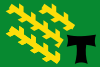 Flag of Els Pallaresos