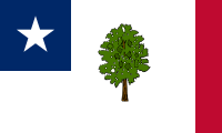 Flag of Mississippi (1861-1894)